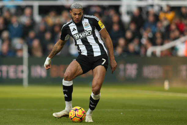 全力以赴的 全力以赴的